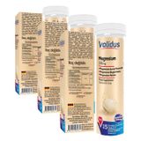 Validus Magnesium Complex Bisglycinate Taurat Malat 15 Effervescent Tablet (3 paketi)