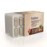 Validus Saw Palmetto 400 Mg L-Arginine Pumpkin Seed Lycopene 60 Kapsül