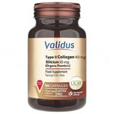 Validus Type 2 Collagen 40 mg UC2 Patented Silicium 10 mg Orgono Powder Patented 30 Kapsül