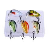 Valkyrie 5 Adet Crankbait Lrf Balik Olta Yem Seti - Sesli Bilyali - Kutulu - 2.7Cm 1.5Gr