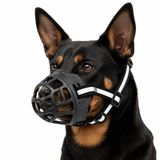 Valkyrie Köpek Ağızlığı Size 2 10-17 Kg Küçük Orta Irk Ayarlanabilir Nefes Alabilir Plastik Ağızlık