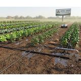Valmen Vdrip Profesyonel Damlama Sulama Hortumu – 400 Metre (16 mm / 25 cm / 0.9 Mm)