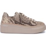 Valmenti Kadın Bej Sneakers & Spor Ayakkabı 937 5022-101 Bn Ayk Y25 Bej Yln