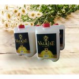 Valrise 5 Litre Şampuan x 4 Adet Altın Seri