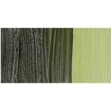 Van Gogh 40Ml Yağlı Boya Seri:2 No:620 Olive Green