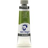 Van Gogh 623 Sap Green Yağlı Boya Özellikli 40 ml Boya Sarf Malzemeleri İçin Çok Yönlü