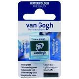 Van Gogh 630 Dusk Green Sulu Boya Tablet