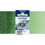 Van Gogh Sulu Boya Hooker Green Light 644 (Yarım Tablet) - Renkli - Standart