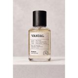 Vandal Edp Erkek Parfüm 50 ml | Narenciye, Aromatik | Portakal, Lime, Mandalina, Sedir Ağacı, Beyaz Misk