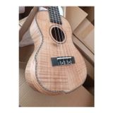 VANGOA CONCERT BOY PROFESYONEL MAUN UKULELE VE KALIN KORUMALI KILIFLI