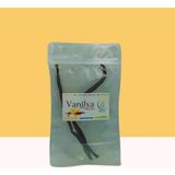 Vanilya Çubuğu (2 Adet) | Haven Herbs & Blends
