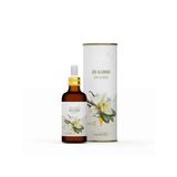 Vanilya Esansiyel Yağı 20 Ml