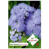 Vapur Dumanı (ageratum Houstanianum) Çiçek Tohumu 100 Adet