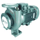 Varan CAS 5.5 Monoblok Uçtan Emişli Santrifüj Pompa 5.5 HP / 4 kW, Trifaze 380 V, 31 Mss, 60 m3/h