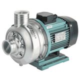 Varan DWB 300/1.1T Tek Kademe Paslanmaz Santrifüj Pompa 1.5 HP / 1.1 kW, Trifaze 380 V (AISI 316)
