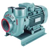 Varan VS 324 Monoblok Salyangoz Santrifüj Pompa 4 HP / 3 kW, Trifaze 380 V, 27 Mss, 55 m3/h