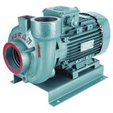 Varan VS 325 Monoblok Salyangoz Santrifüj Pompa 5.5 HP / 4 kW, Trifaze 380 V, 34 Mss, 65 m3/h