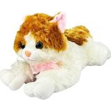 Vardem Oyuncak Pelus 36Cm Müzikli Kedi 36 Cm 60 Pcs Vrd-Pjh14318 (Karışık Model 1 Adet)