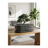 VaseAtelier Bonsai El Yapımı Zemin Büyük Bitki Dekoratif Beton Saksı 9 Lt Koyu Gri
