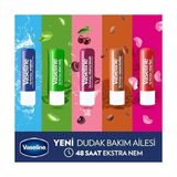 Vaseline Lip Therapy Dudak Bakım Kremi 4.8 gr E Vitamini İçeren Hızla Emilerek Dudakları Onarır - standart