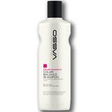 Vasso Boyalı Saçlar için İpek Proteinli Parlaklık ve Canlılık Veren Color Magnetic 270 ml Şampuan