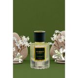 Vasso Harmony 50 ml Kadın Parfüm