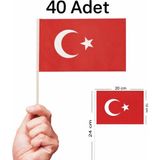 Vatan ( 40 Adet ) Çubuklu Kağıt Türk Bayrağı Sopalı Ayyıldız Baskılı 23 Nisan 19 Mayıs Süsleme - Beyaz-Kırmızı