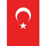 Vatan 50x75 cm Bayrak