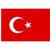 Vatan 600x900 Bayrak