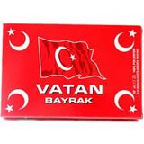 Vatan Bayrak 150X225 - Renkli