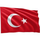 Vatan Bayrak Türk Bayrağı 70 x 105 cm 3 Adet