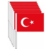 Vatan Bayrak Vatan Sopalı Ay Yıldız Bayrak Küçük 80Li Türk Bayrağı