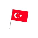 Vatan Bez Bayrak Sopalı 10'Lu 20 X 30 Cm
