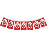 Vatan Büyük Boy 18 x 11 cm İpli Kağıt Atatürklü Bayrak 50li Kırmızı Renkli Ölçülerle