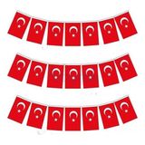 Vatan Ipli Bayrak Ayyıldız 50 Li Orta Boy 3 Adet ( 8 x 13 cm ) - Kırmızı - Beyaz - İpli Bayrak