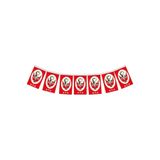 Vatan ipli Kağıt Ata Bayrak Mini 6 cm 9 cm 8697459088066