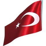 Vatan Masa Bayragı Türk Çift Kat 15X22,5 VT0201 (2 Li Paket) - Yok