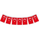vatan orta boy ıpli kağıt türk bayrağı 13x8cm 50 li vt807 - Yok