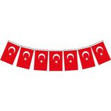 Vatan Orta Boy İpli Kağıt Türk Bayrağı 50'li Kırmızı 50x70 cm Ölçülerinde