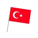 vatan Sopalı Kağıt Bayrak Büyük 20 Adet