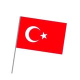 vatan Sopalı Kağıt Bayrak Küçük - 30 adet