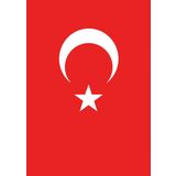 Vatan Türk Bayrağı %100 Polyester 30x45