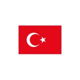 Vatan Türk Bayrağı Polyester 20X30cm (10 Lu Paket) Kt Vt0101