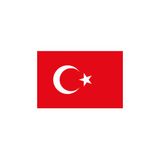 Vatan Türk Bayrağı Polyester 30X45cm (2 Adet) Kt Vt0102