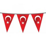 Vatan VT178 Kuşe Kağıt 10'lu Türk Bayraklı Flama