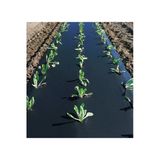 VATANPLASTİK 12 Aylık Malç Naylonu Uv-ab Katkılı Eni 120 Cm 100 Micron 25 Metre