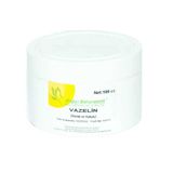 Vazelin Renkli Kokulu 100 Ml