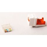 Vcom NM206 Cat6 Utp Keystone Jack