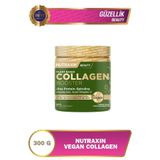 Vegan Protein Booster 300 Gr - Pea Protein, Spirulina, Vitamin C, Hyaluronik Asit Glutensiz B10235