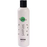 Veganeed Hacimlendirici 250 ml Lavanta Kuru Saçlar Vegan Şampuan